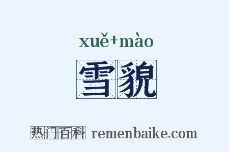 雪貌是什么意思的图片